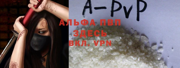 гидра Абаза