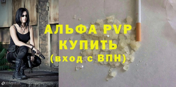гидра Абаза
