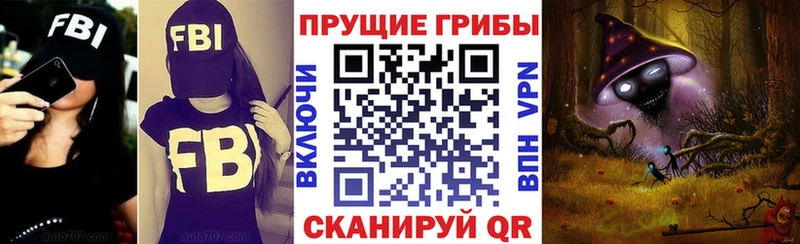 где купить наркоту  Чебаркуль  blacksprut ссылки  Галлюциногенные грибы Cubensis 